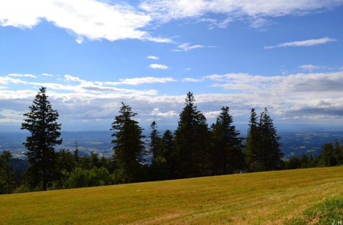 Entdecke den Schwarzwald!