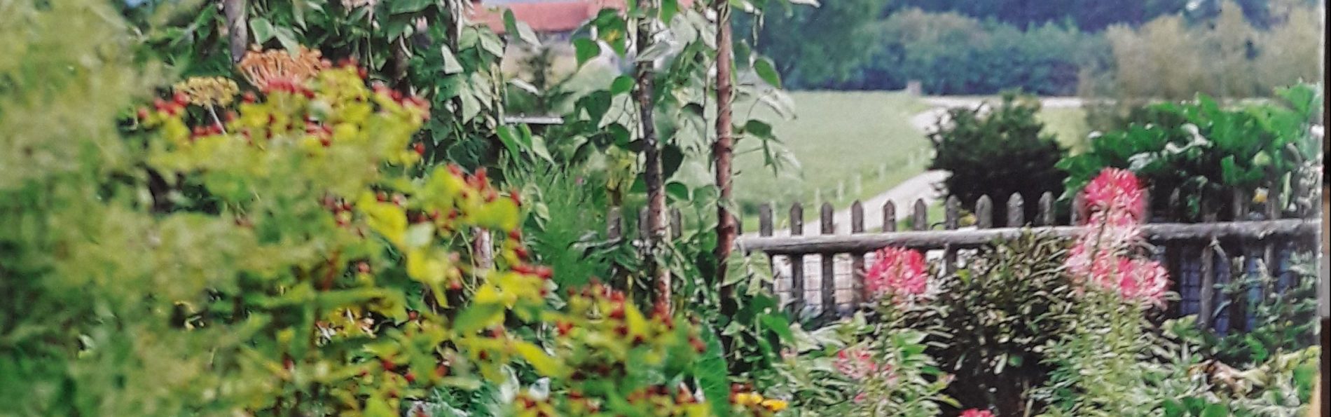 Buchvorstellung: Bauerngärten im Thurgau