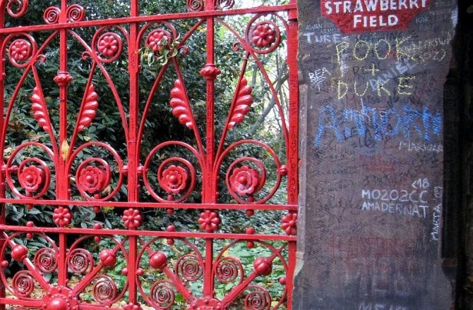 Erdbeer-Zeit oder Blind-Date @ Strawberryfields