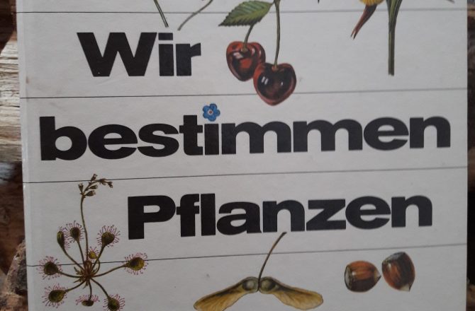 Buchvorstellung – Wir bestimmen Pflanzen