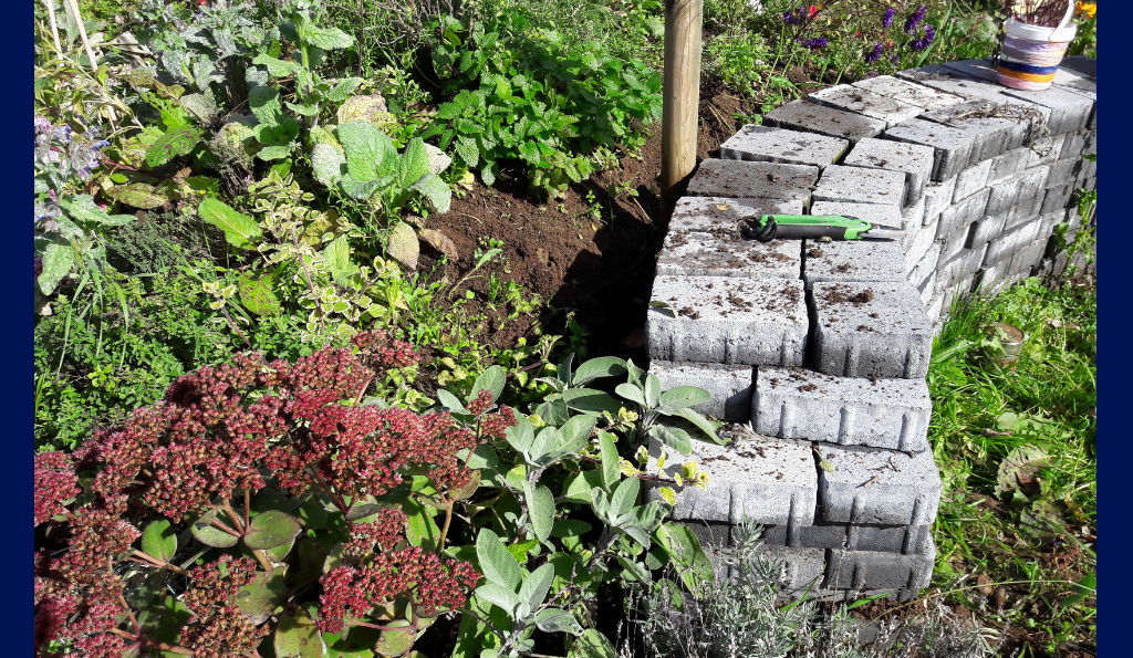 Trockenmauer anlegen und bepflanzen