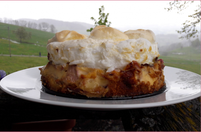 Mein Rhabarber-Schicht-Kuchen mit Vanillepudding