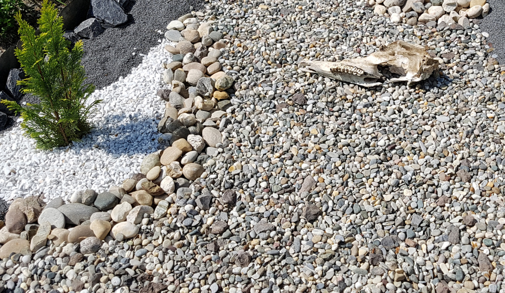 Das Problem mit dem Schotter im Garten