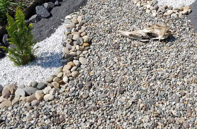 Das Problem mit dem Schotter im Garten